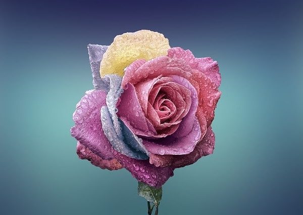 intimchirurgie – ein sensibler bereich, aber durchaus nicht ungewöhnlich!